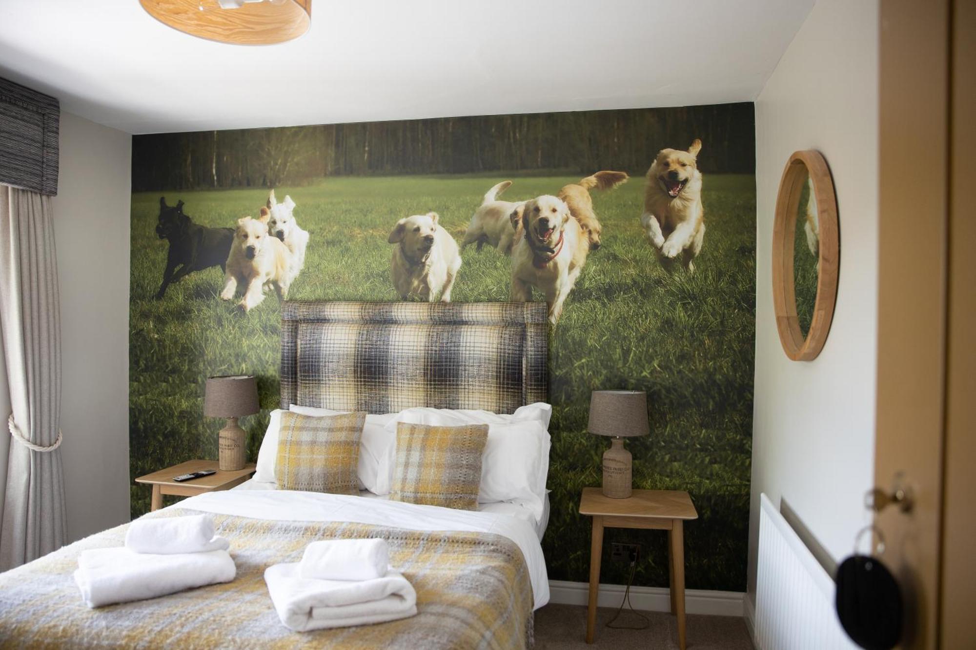 The Dog In Over Peover Knutsford Exteriör bild